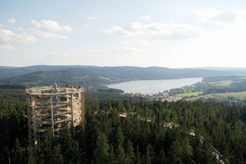 Stezka korunami stromů